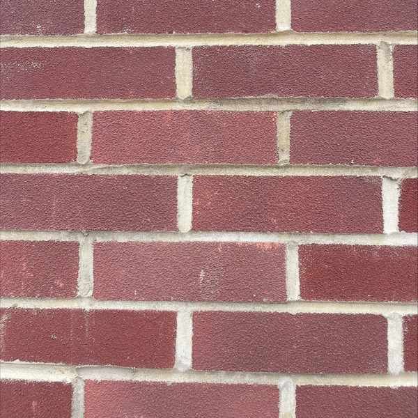 picture of Heather Multi